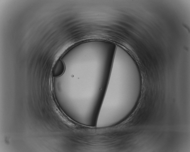 X0000103470796200809121119