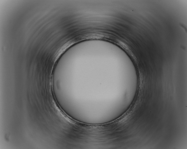 X0000103470802200809121119