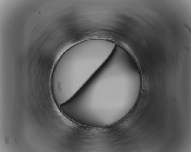 X0000103470803200809121119