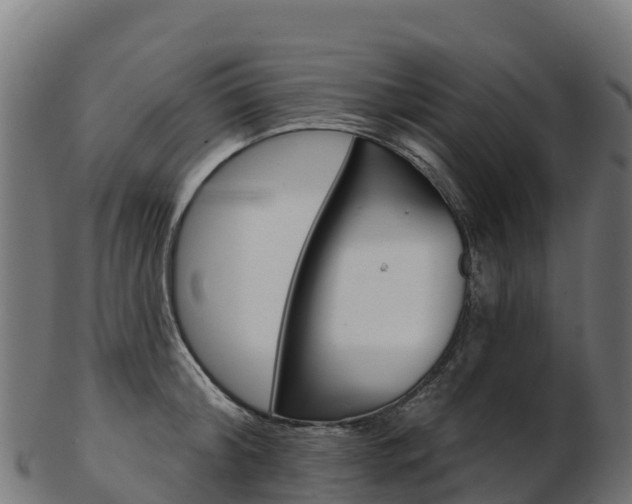 X0000103470804200809121119
