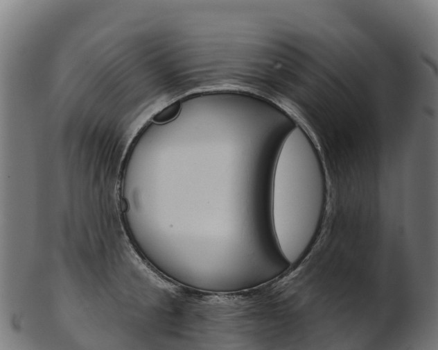 X0000103470805200809121119