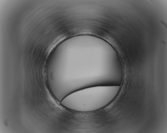 X0000103470806200809121119