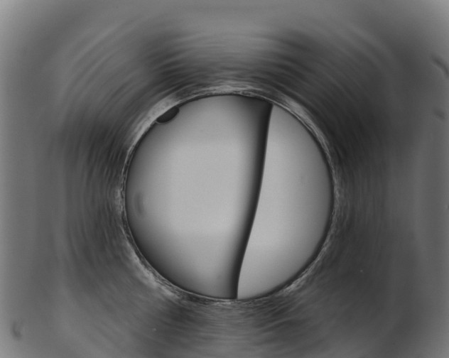 X0000103470810200809121119