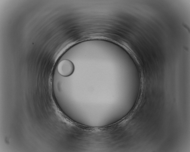 X0000103470814200809121118
