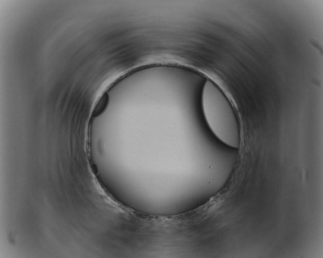 X0000103470815200809121118