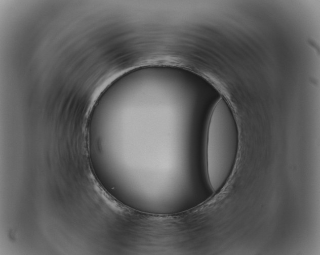 X0000103470816200809121118