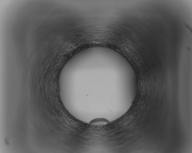 X0000103470817200809121118