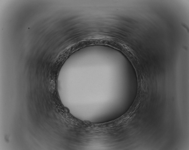 X0000103470821200809121118