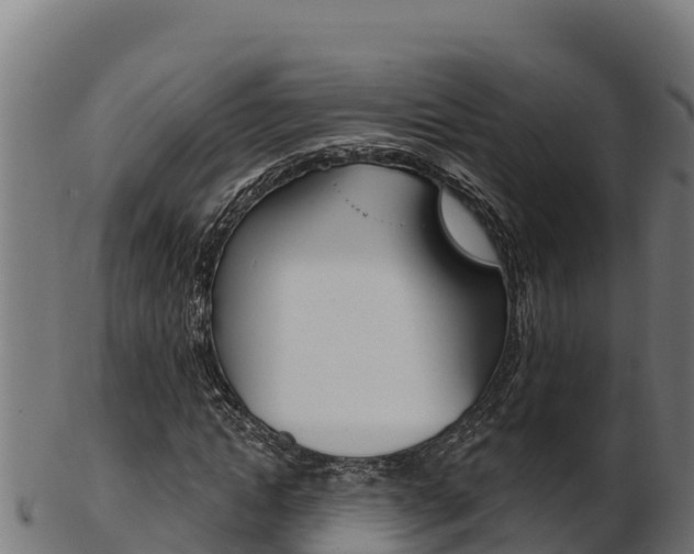 X0000103470822200809121118