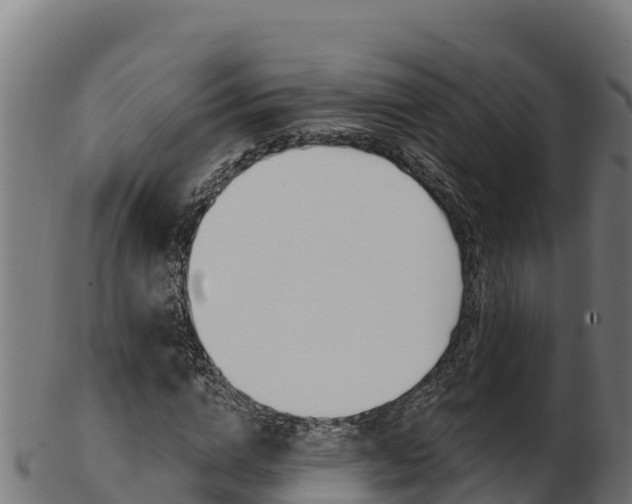 X0000103470824200809121118
