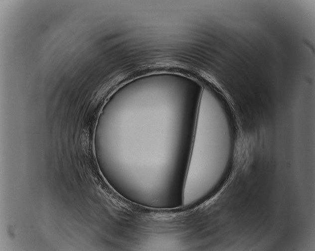 X0000103470825200809121118