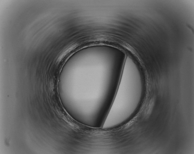 X0000103470826200809121118