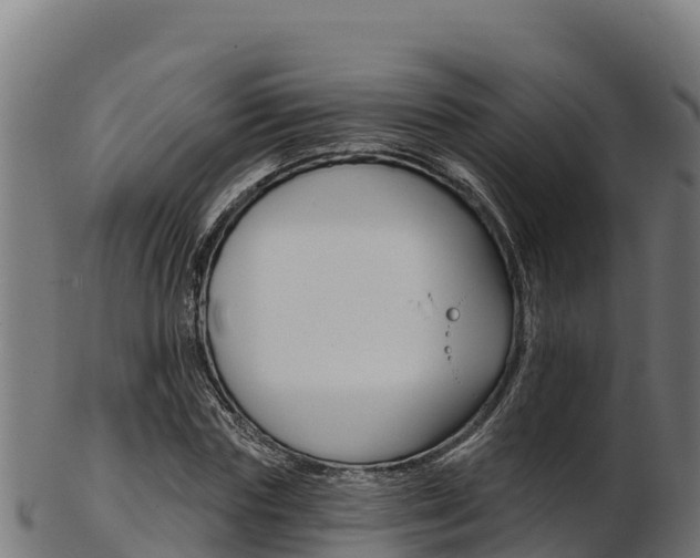 X0000103470827200809121118