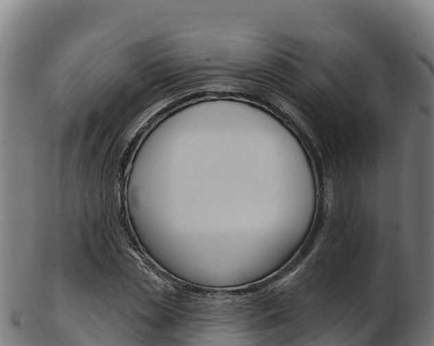 X0000103470829200809121118