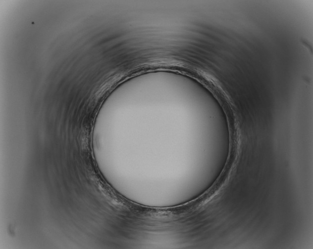 X0000103470833200809121118