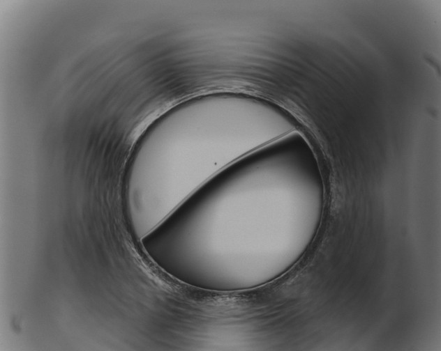 X0000103470834200809121118