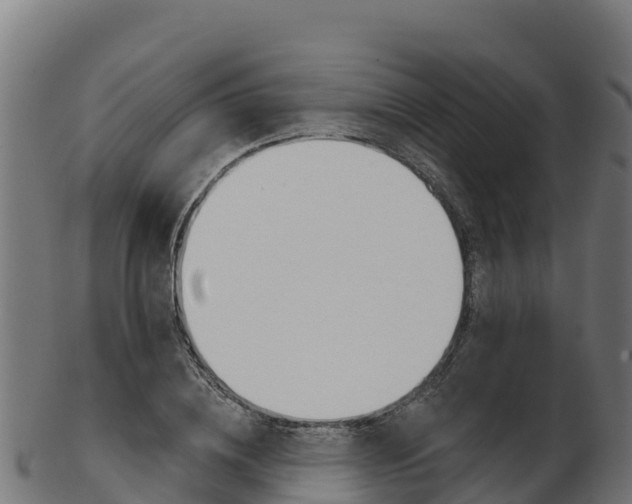X0000103470836200809121118