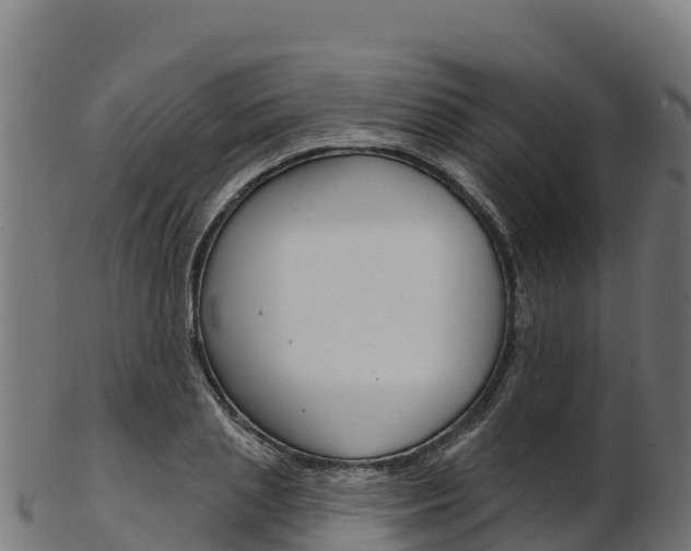 X0000103470837200809121118