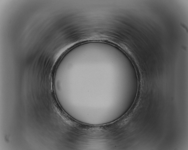 X0000103470838200809121118