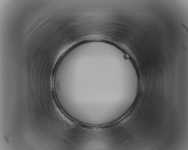 X0000103470839200809121118