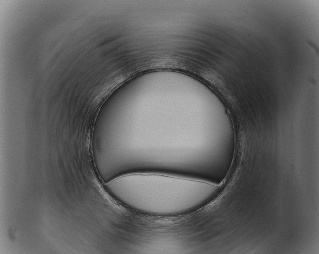 X0000103470841200809121118