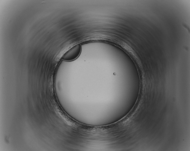 X0000103470842200809121118