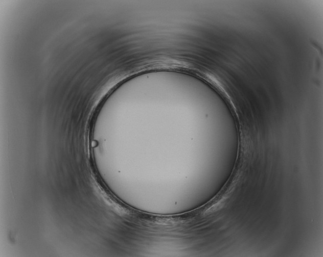 X0000103470843200809121118