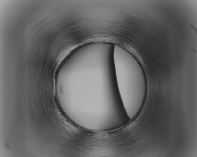 X0000103470844200809121118