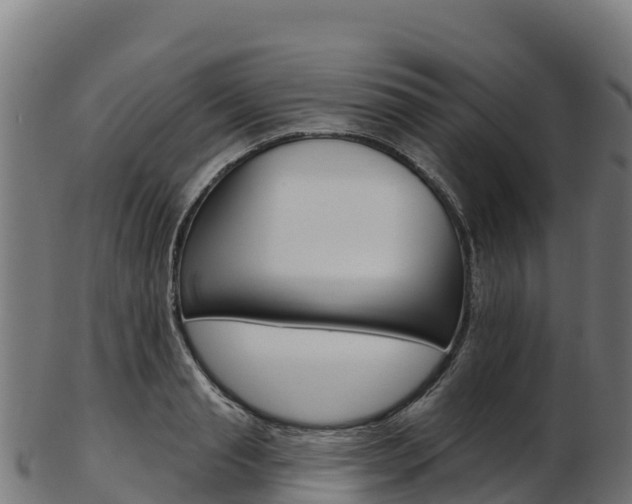 X0000103470845200809121118