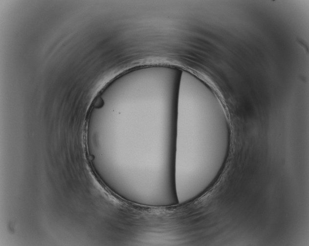X0000103470847200809121118