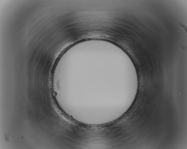 X0000103470848200809121118