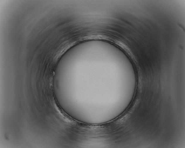X0000103470849200809121118