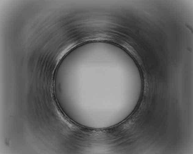 X0000103470850200809121118
