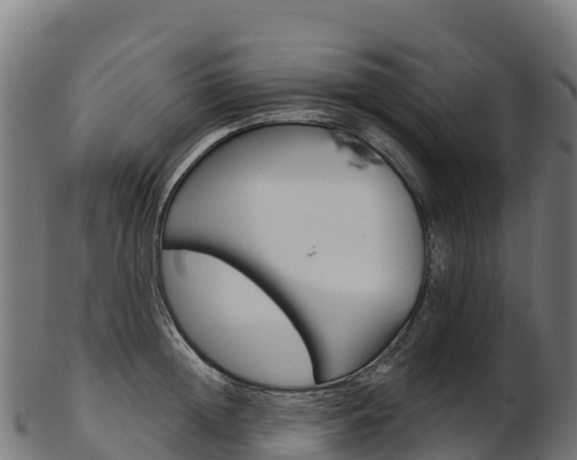 X0000103470852200809121118