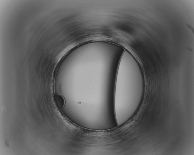 X0000103470853200809121118