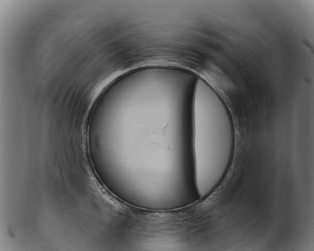 X0000103470854200809121118