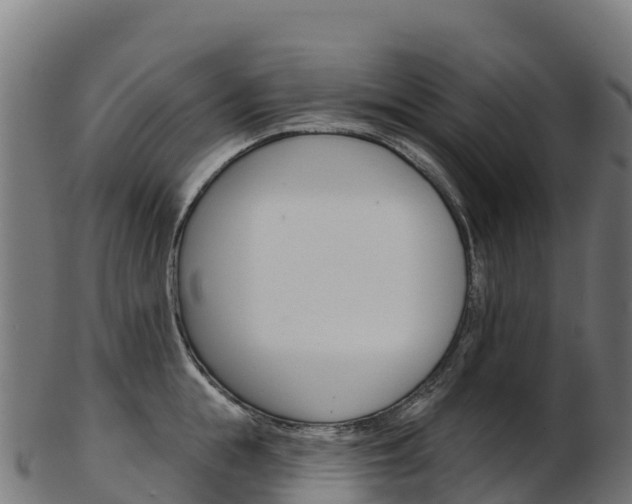 X0000103470855200809121118