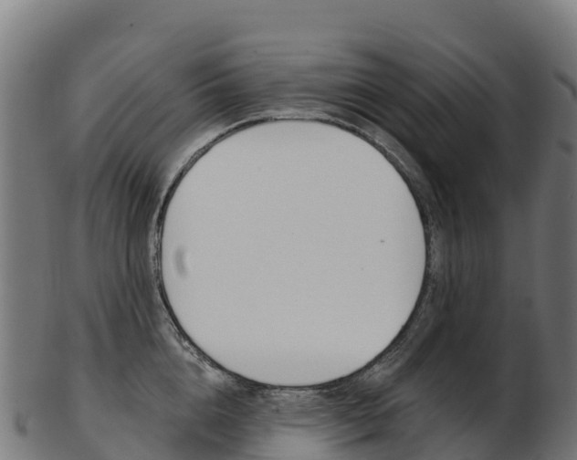 X0000103470856200809121118