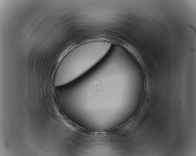 X0000103470858200809121118