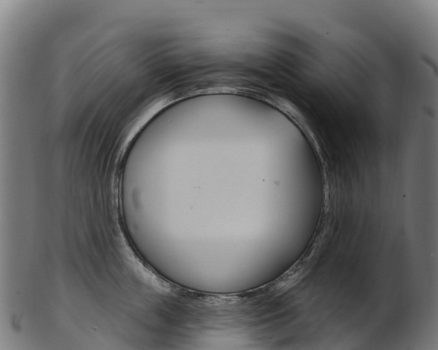 X0000103470859200809121118