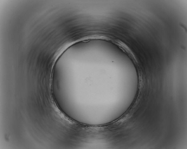X0000103470860200809121118