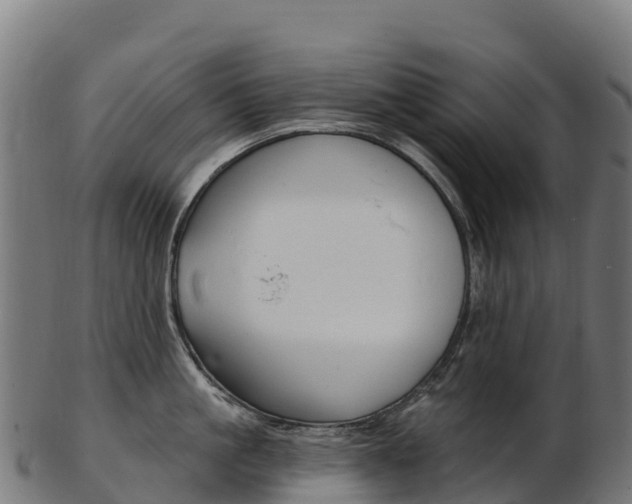 X0000103470861200809121118