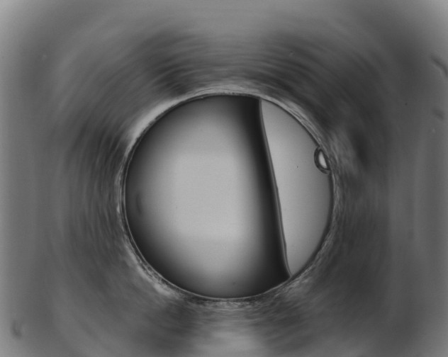 X0000103470862200809121118