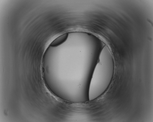X0000103470863200809121118
