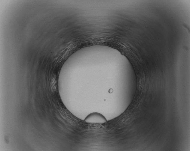 X0000103470866200809121118