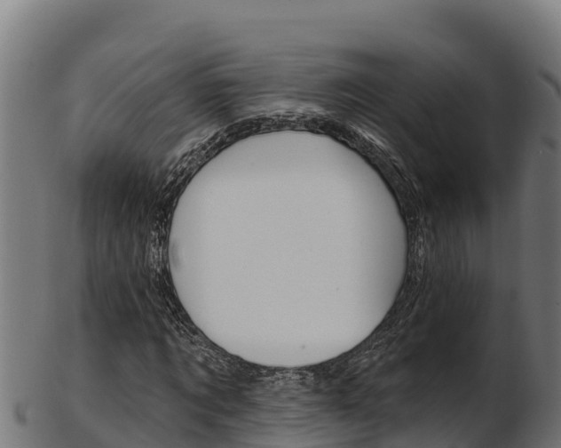 X0000103470869200809121118