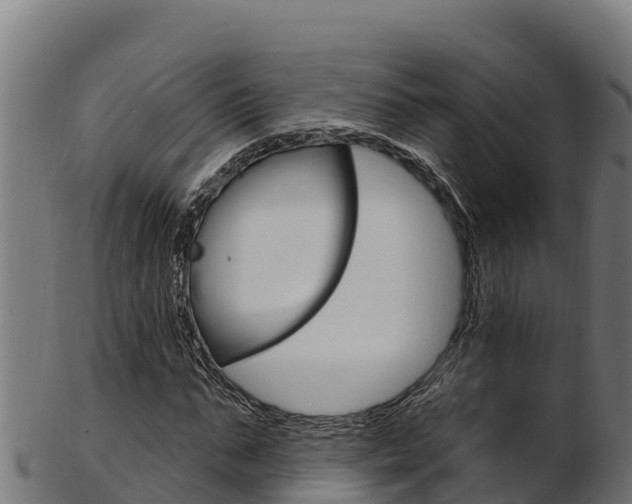 X0000103470871200809121118