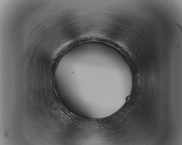 X0000103470872200809121118