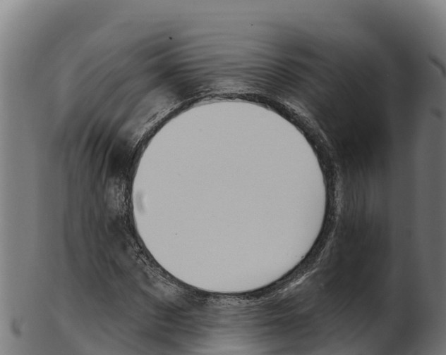X0000103470873200809121118