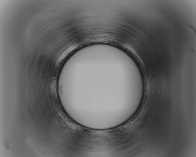 X0000103470874200809121118